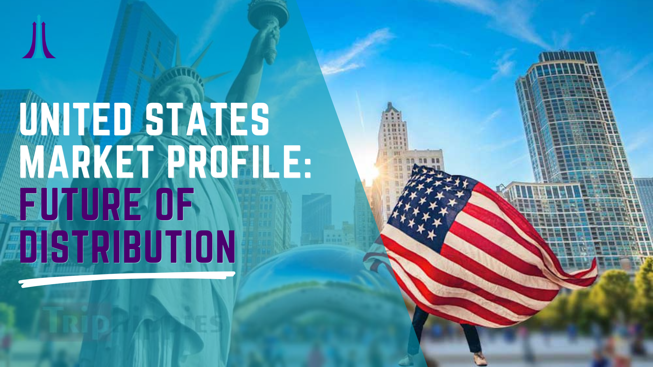 United States Market Profile: Future of Distribution&nbsp;