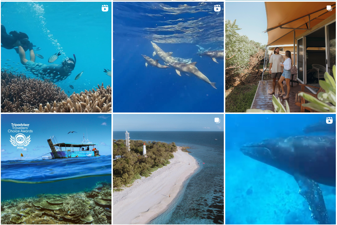 screenshot from lady elliot island eco resort instagram