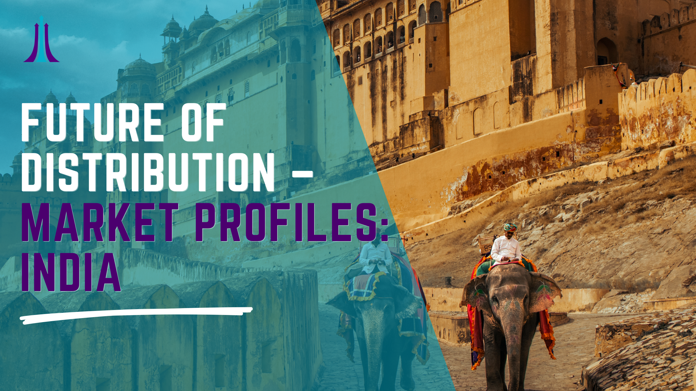 A digitally edited photo of an Indian palace and an elephant carrying a rider walking through a historical area, with text overlay regarding market profiles in India.