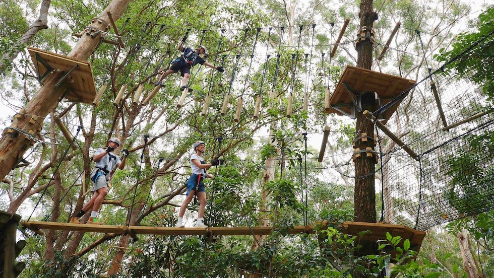 Treetop Challenge Currumbin Wildlife Sanctuary - Client of Exceptional Experiences