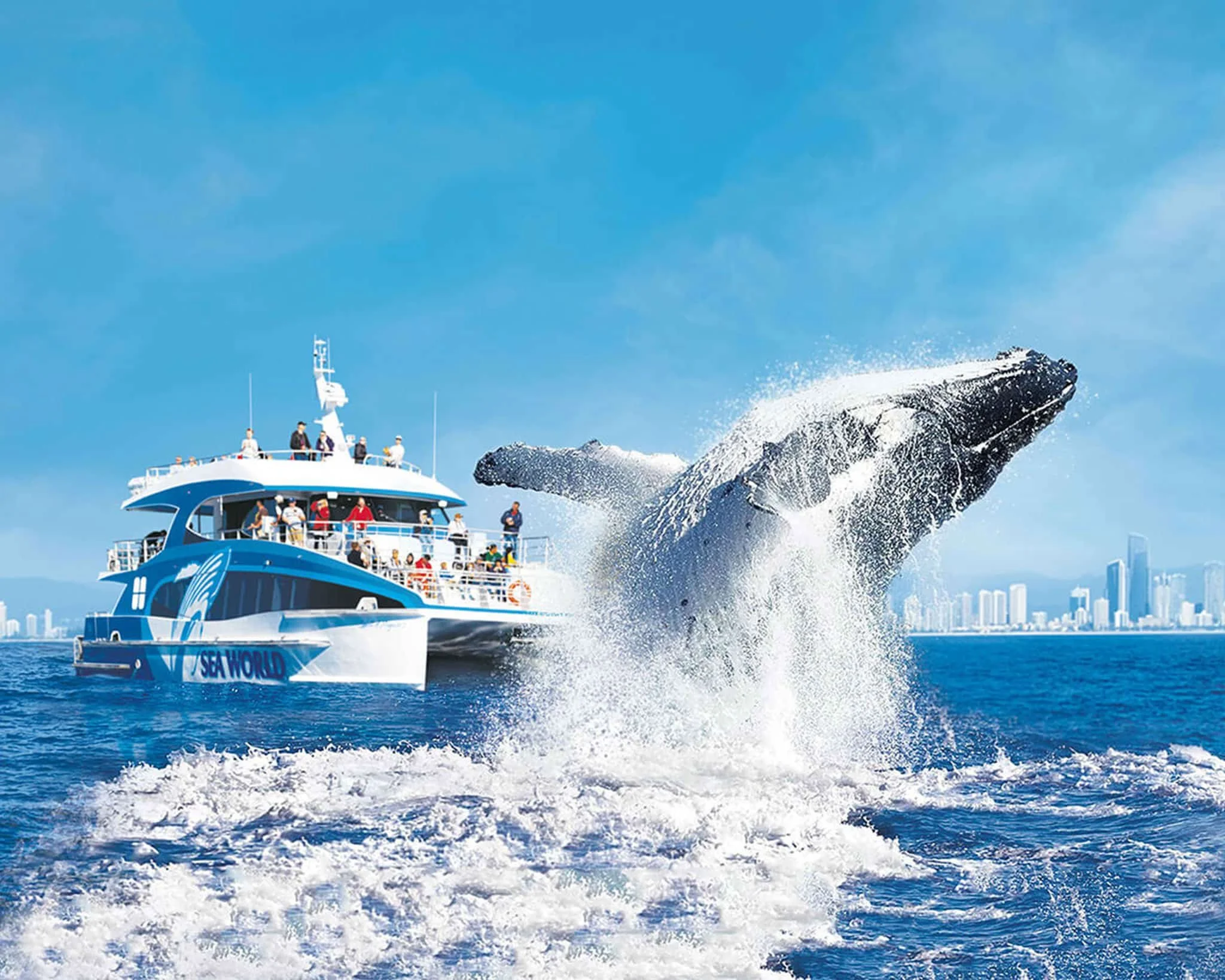 Whale jumping next to a boat on the ocean with a city skyline in the background.
