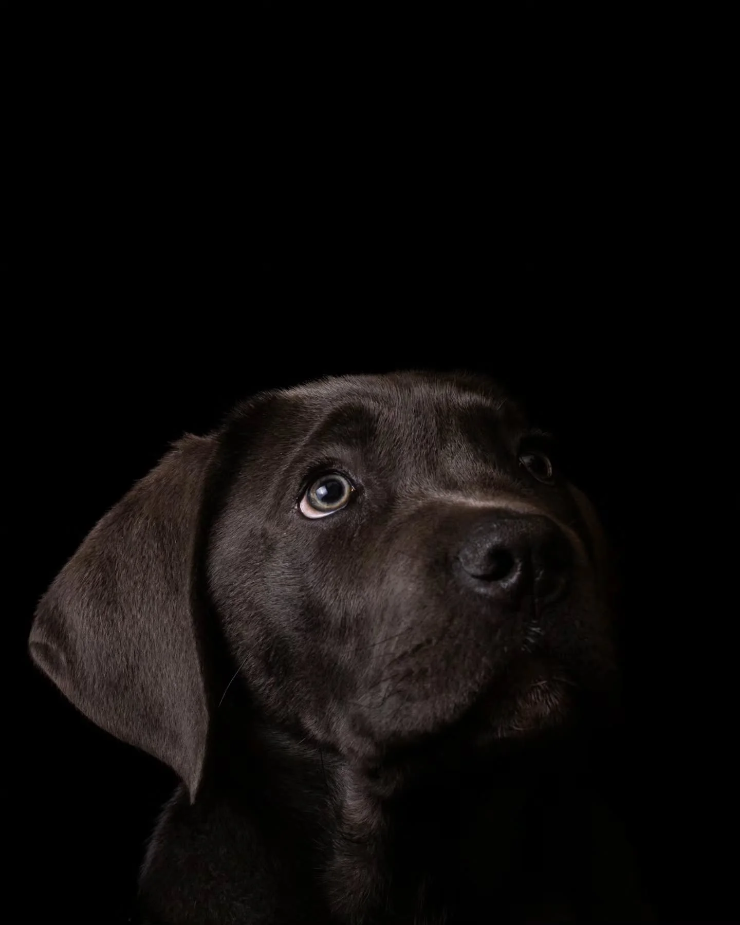 H&aacute; uns dias partilhei nos stories que faz agora 10 anos que fiz o meu primeiro trabalho na fotografia.
Hoje, 10 anos depois, voltei a pegar nestas fotografias do Calend&aacute;rio 2016 da Associa&ccedil;&atilde;o de Estudantes EUVG e fiz uma r