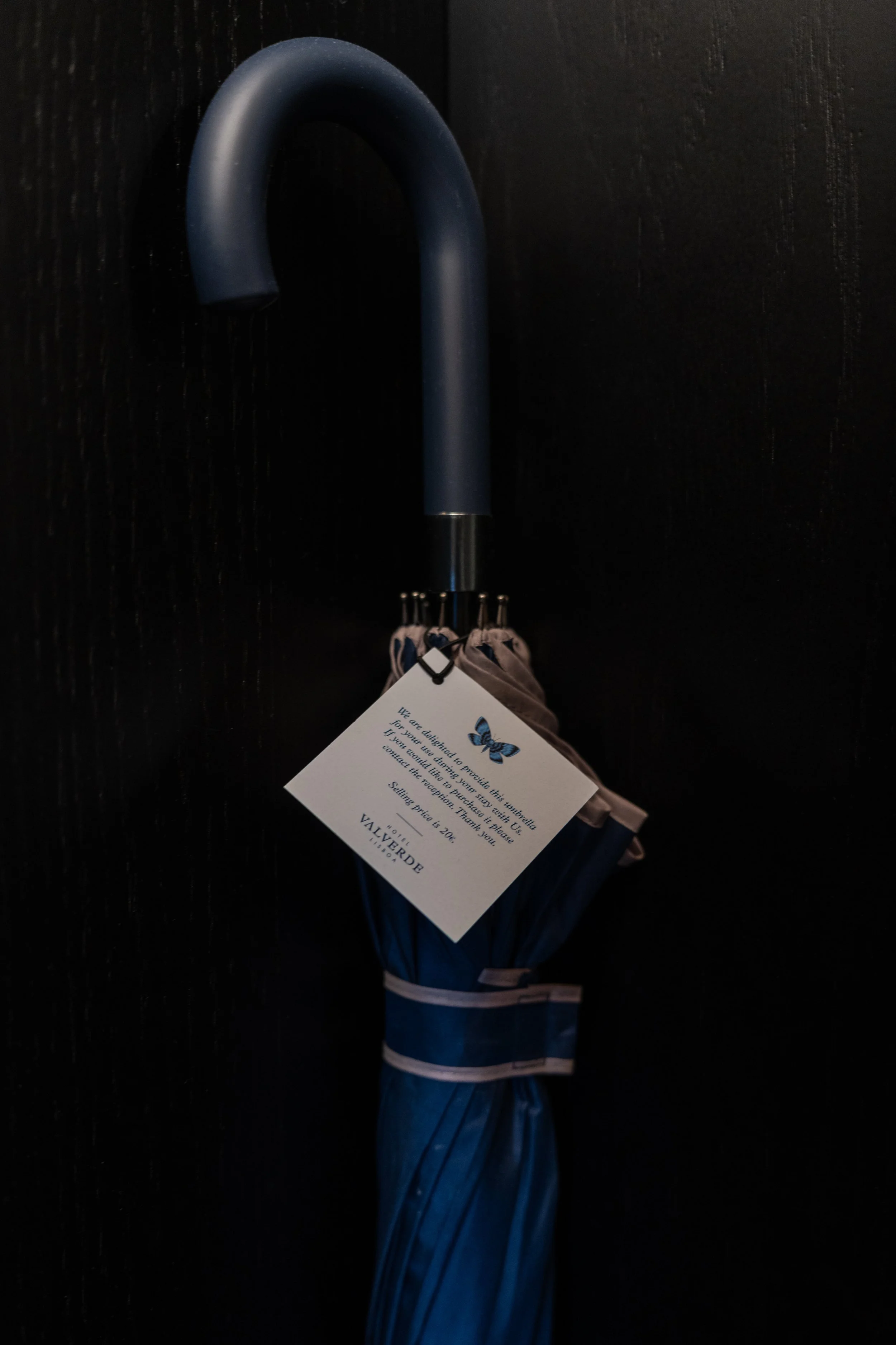 Valverde 312 - João Almeida-32.jpg