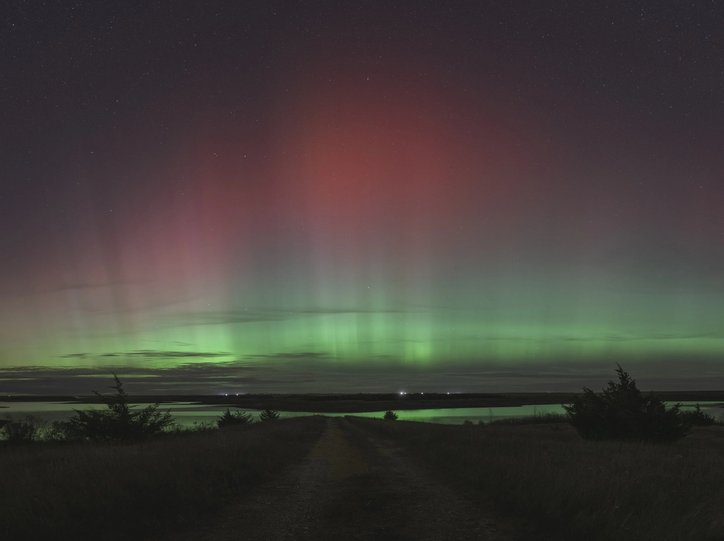 Northern lights (aurora borealis) over a body of water with trees in the foreground at night.