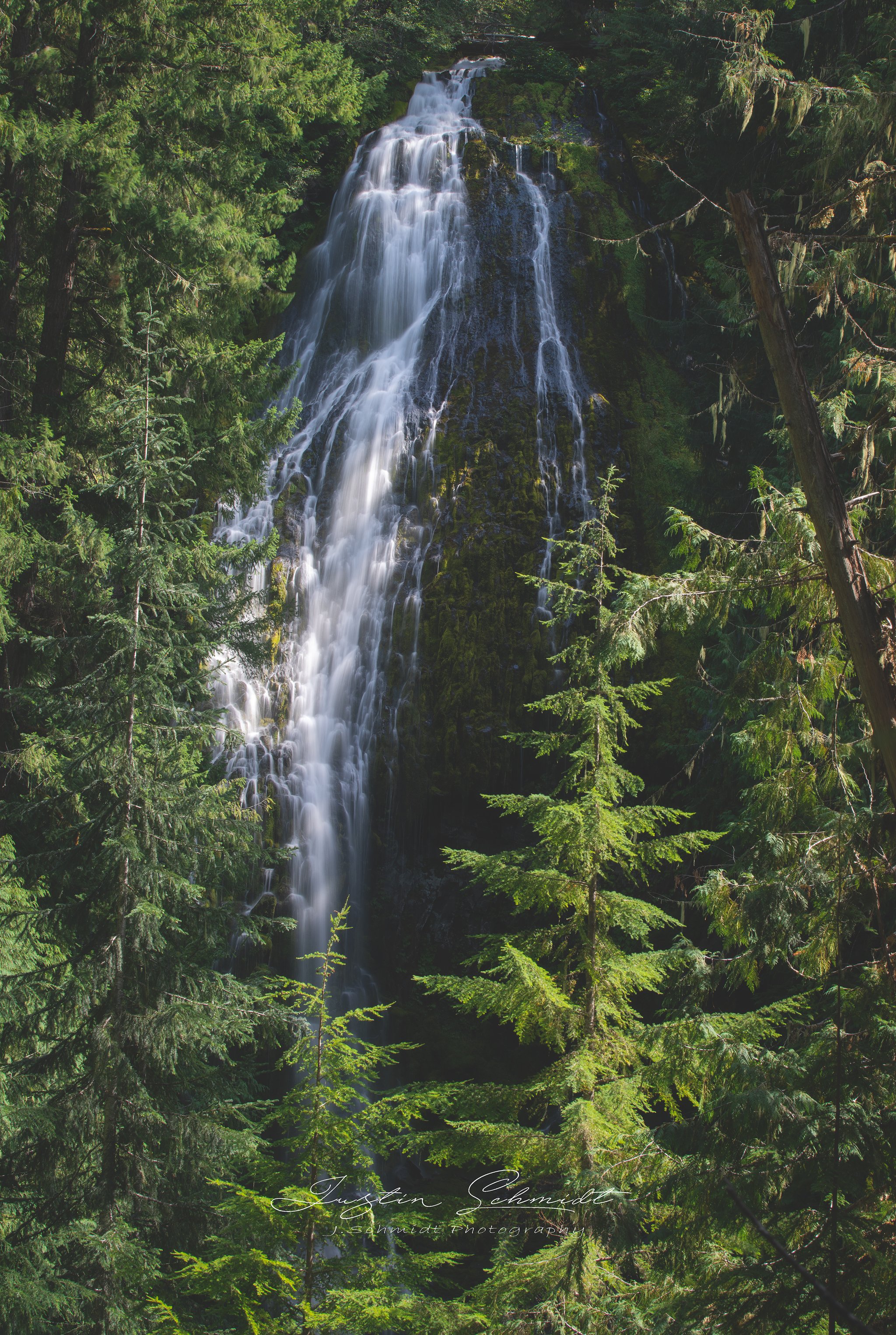 A tall, narrow waterfall cascading down a moss-covered cliff surrounded by dense green trees in a forest.