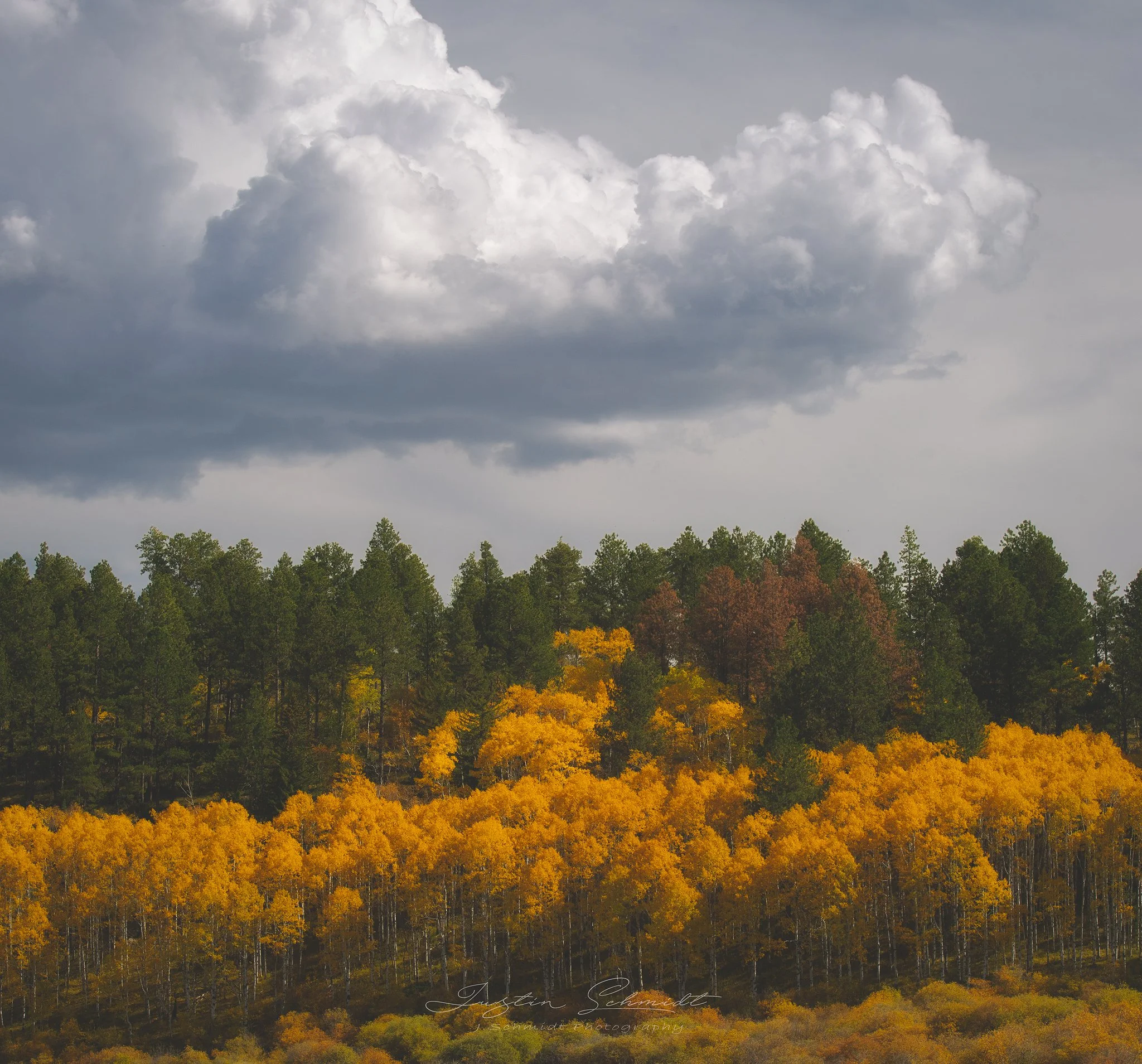 A landscape with a forest of trees showing fall colors under a partly cloudy sky.