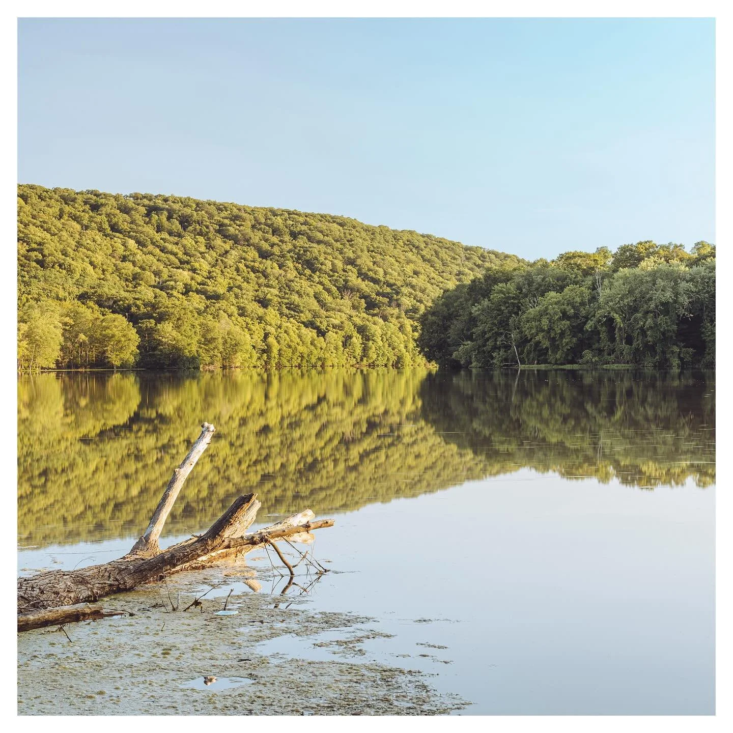 I can&rsquo;t remember the name of this lake. There are too many in the northeast

#newengland #northeast #lake #reflection #longexposure #photo #photography #sony #sigma #a7iv #opticalwander