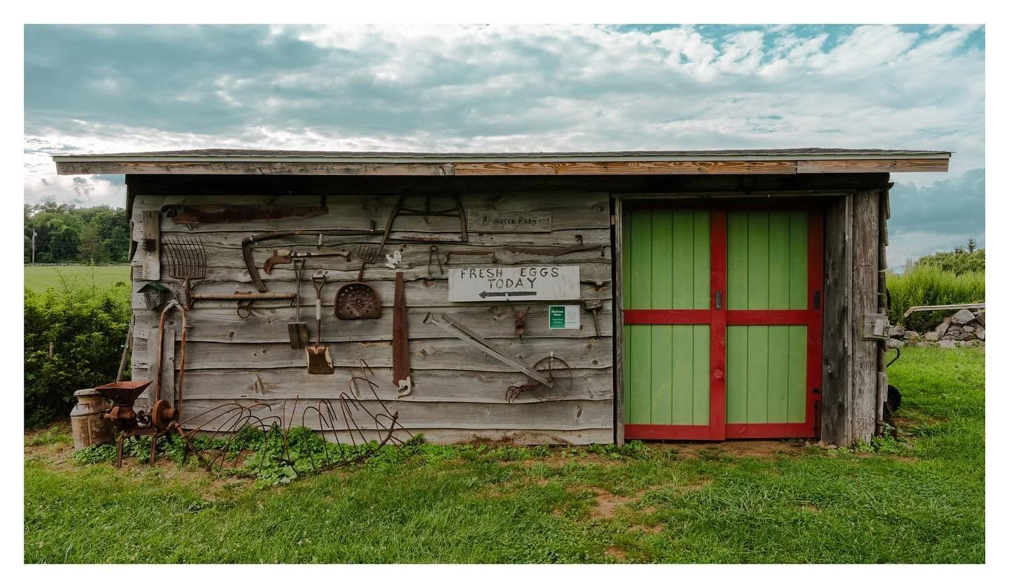 Tools of the past 

#farm #tools #shed #fresheggs #photo #photography #sony #sigma #opticalwander #ridgefield #ct