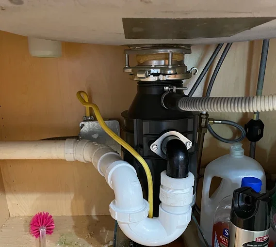 Under-sink disposal and drain