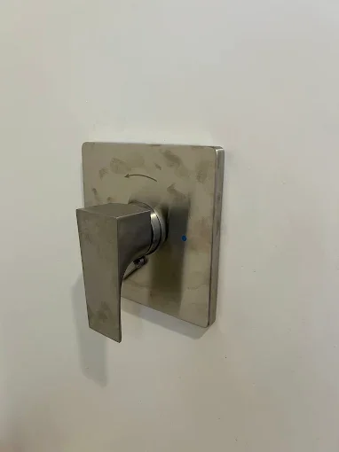 Shower control handle