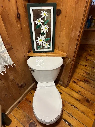Toilet in wood-paneled room