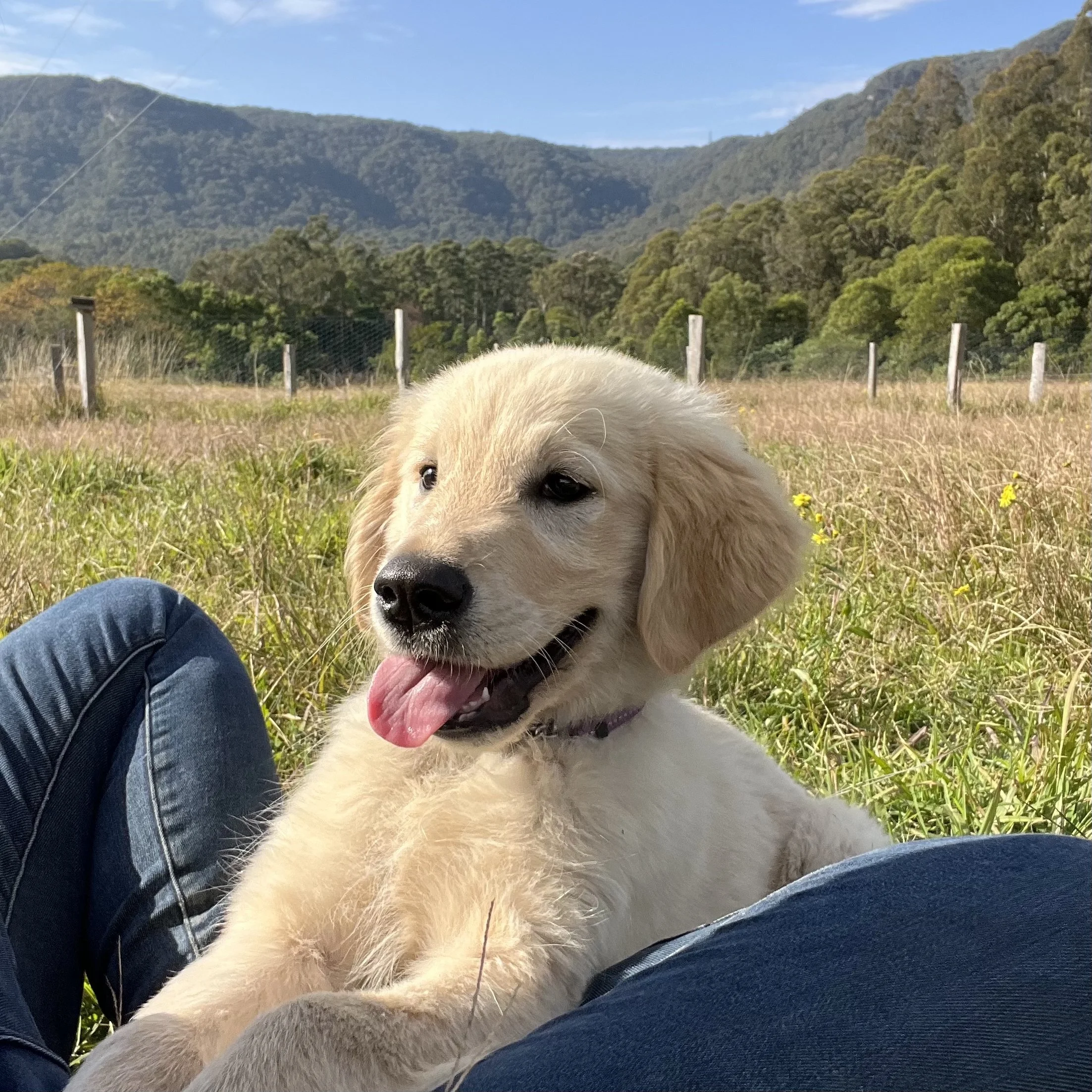Farm visit