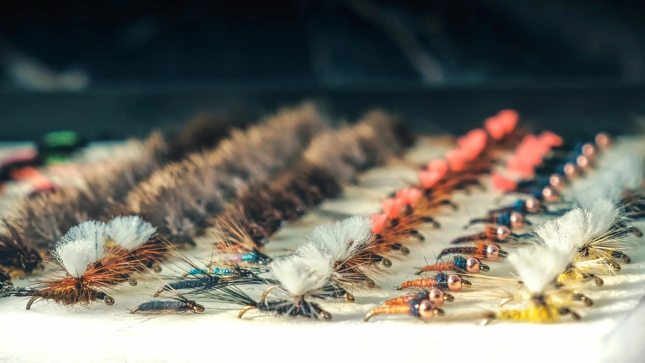 Fly Tying and Beer