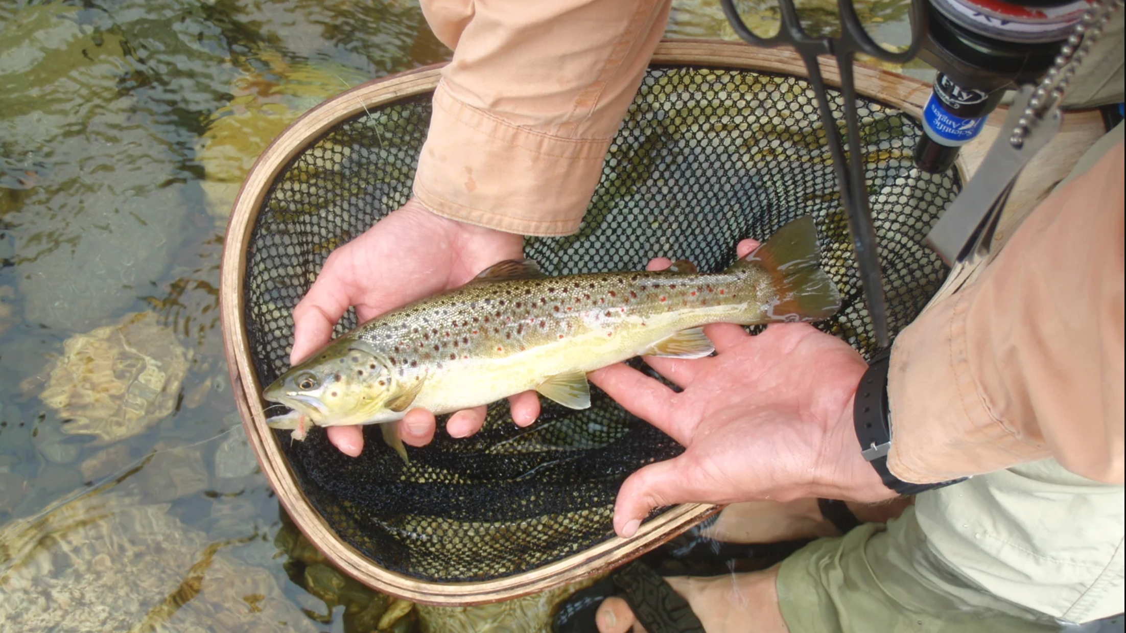 March GUVTU Chapter Meeting 