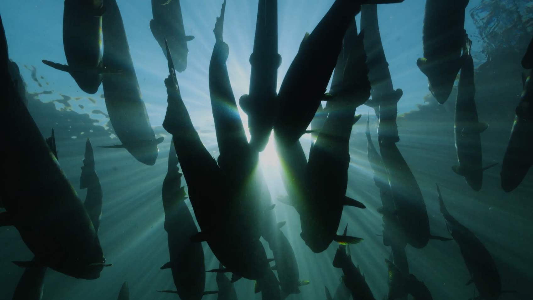 Scale of Change Film Tour