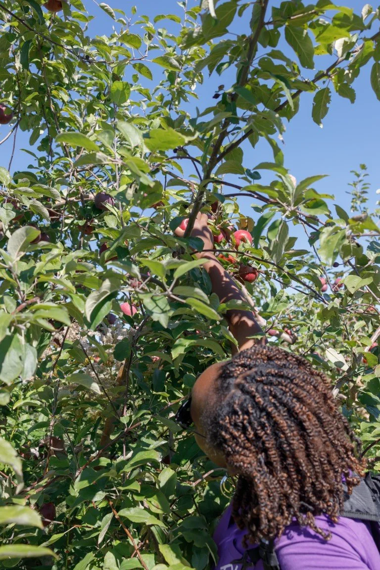 EOSR0045 (Medium).jpg