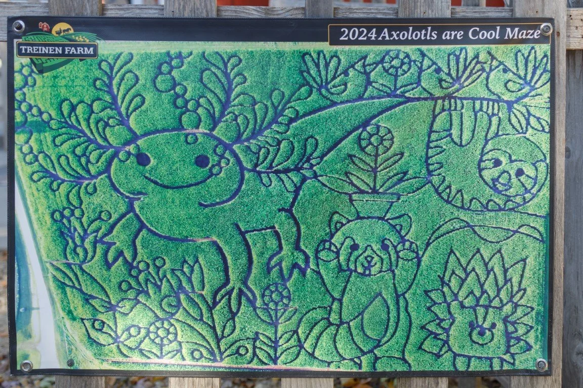 EOSR0170 (Medium).jpg
