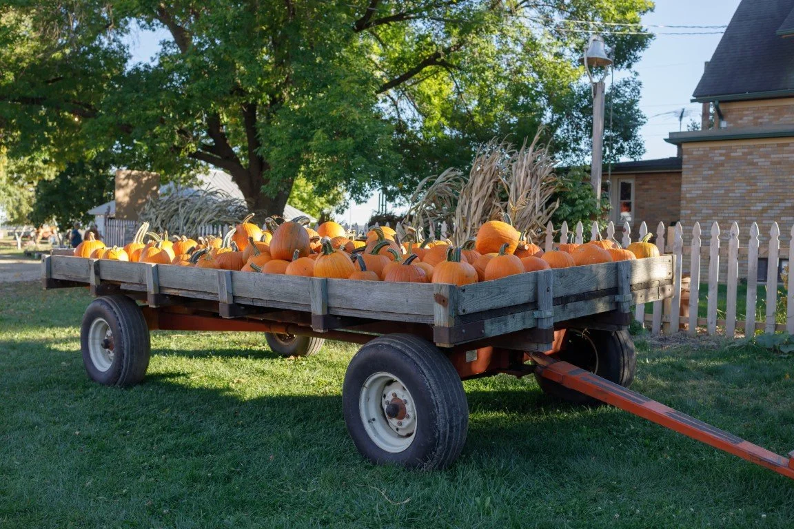 EOSR0219 (Medium).jpg