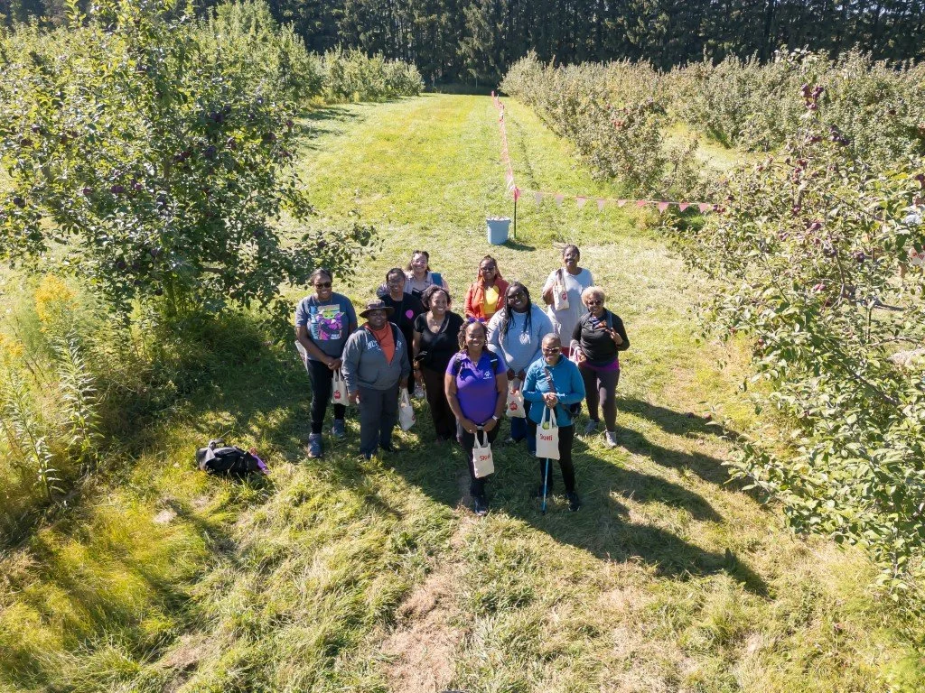DJI_0239 (Medium).jpg