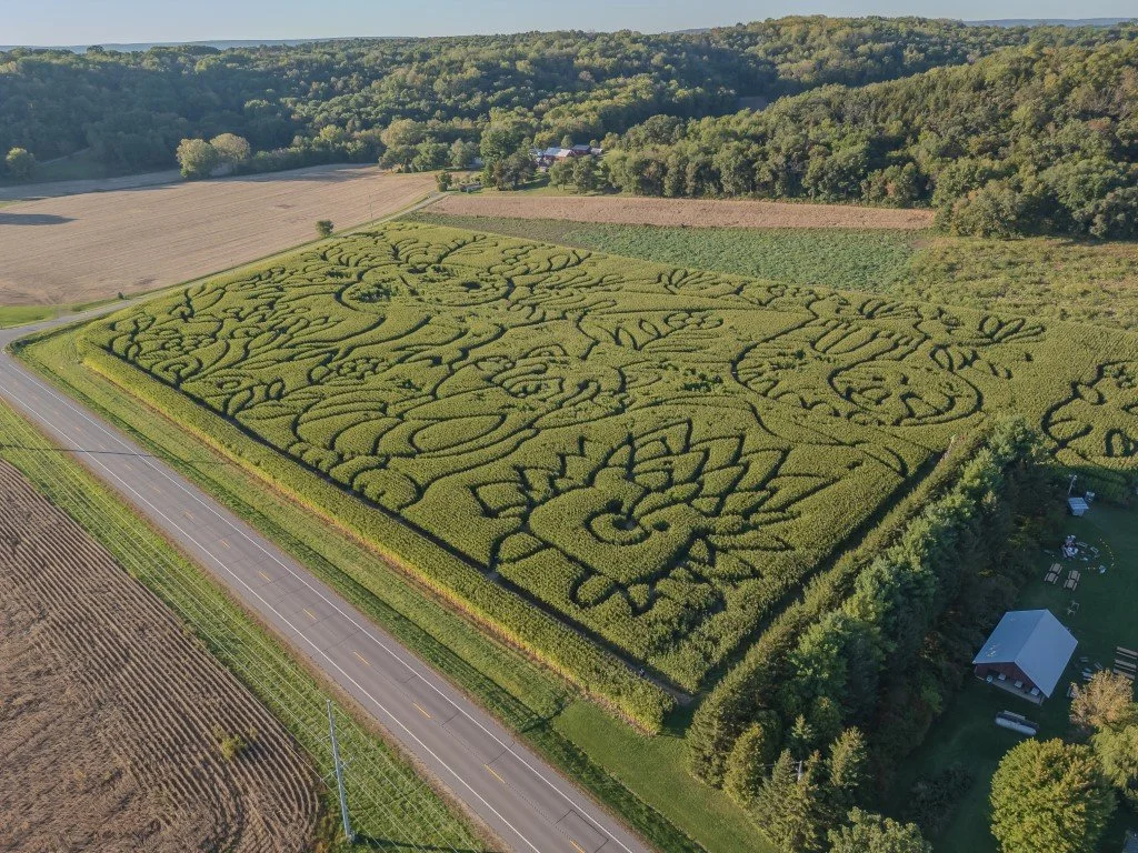 DJI_0250 (Medium).jpg