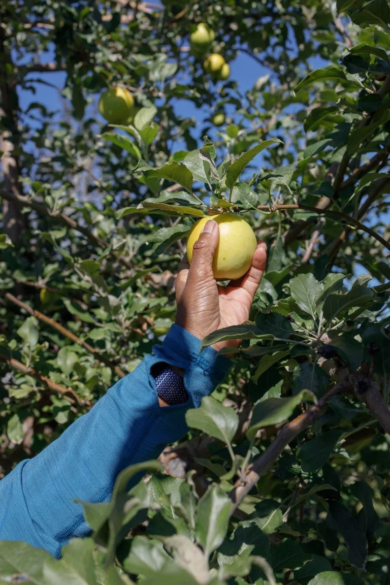 EOSR0070 (Medium).jpg