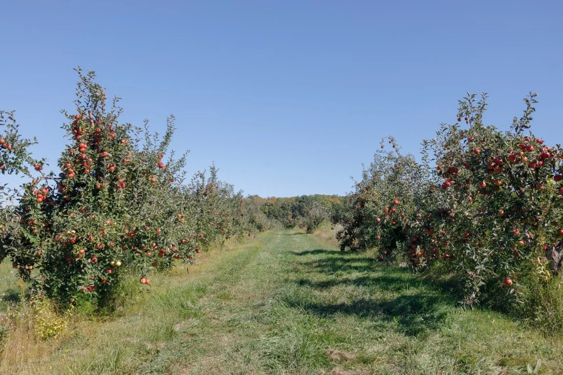 EOSR0078 (Medium).jpg