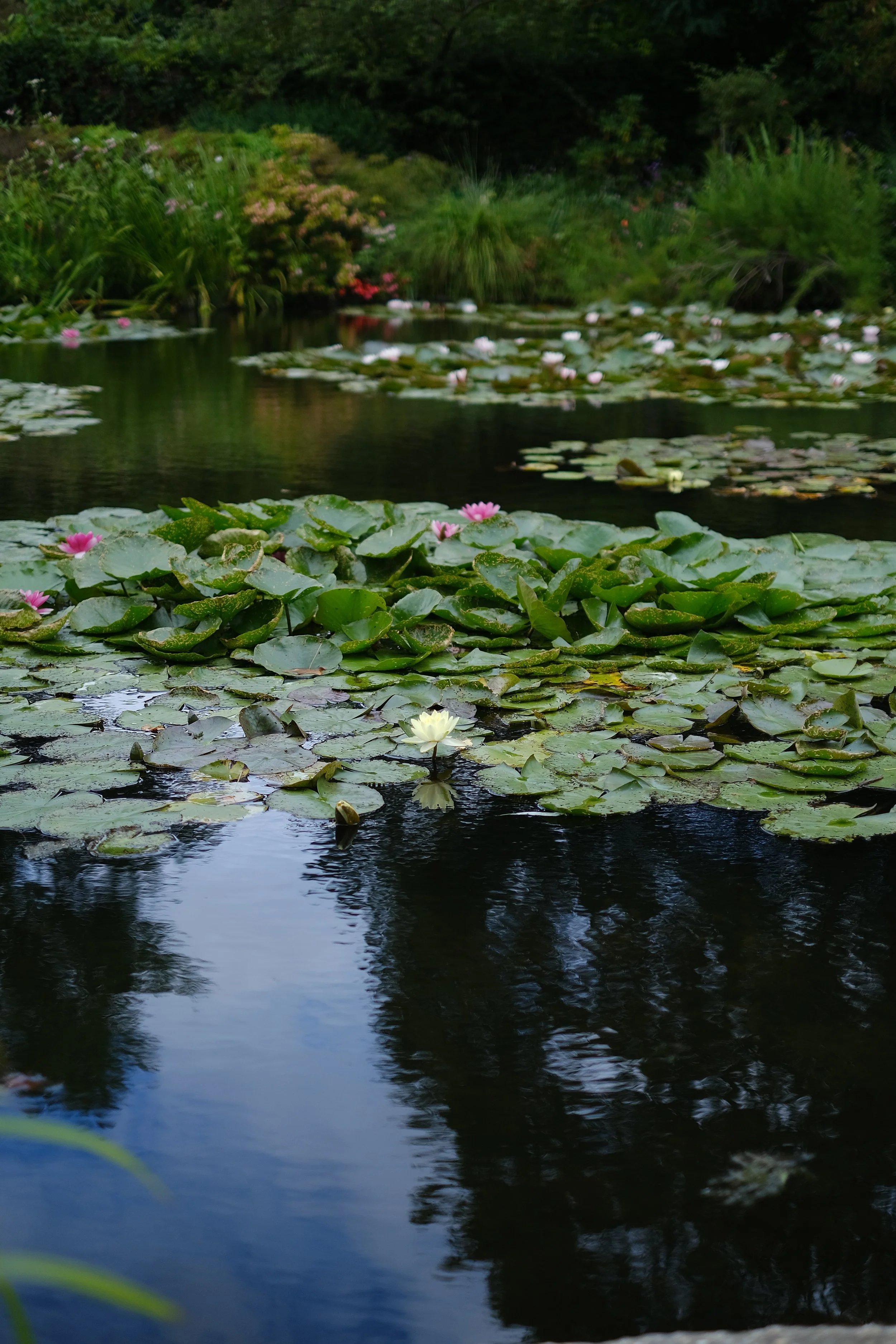 DSCF8739.JPG