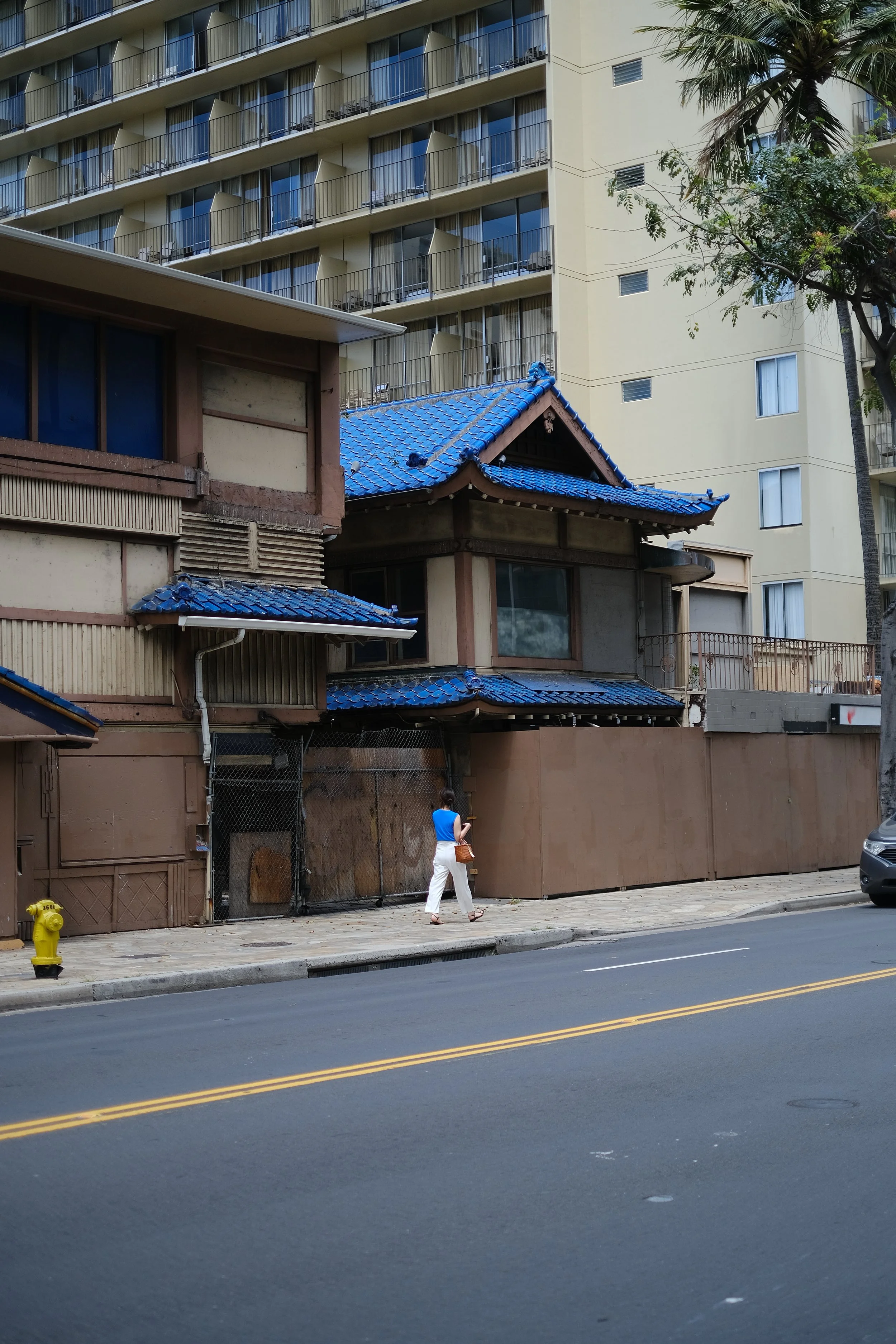 DSCF9803.JPG