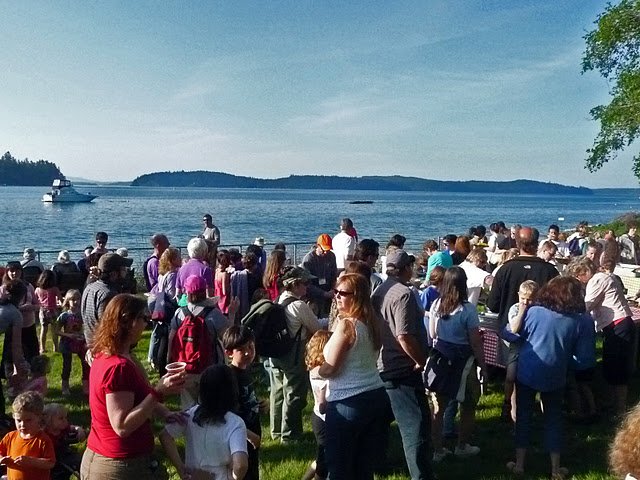 P1010476_edited-1.jpg