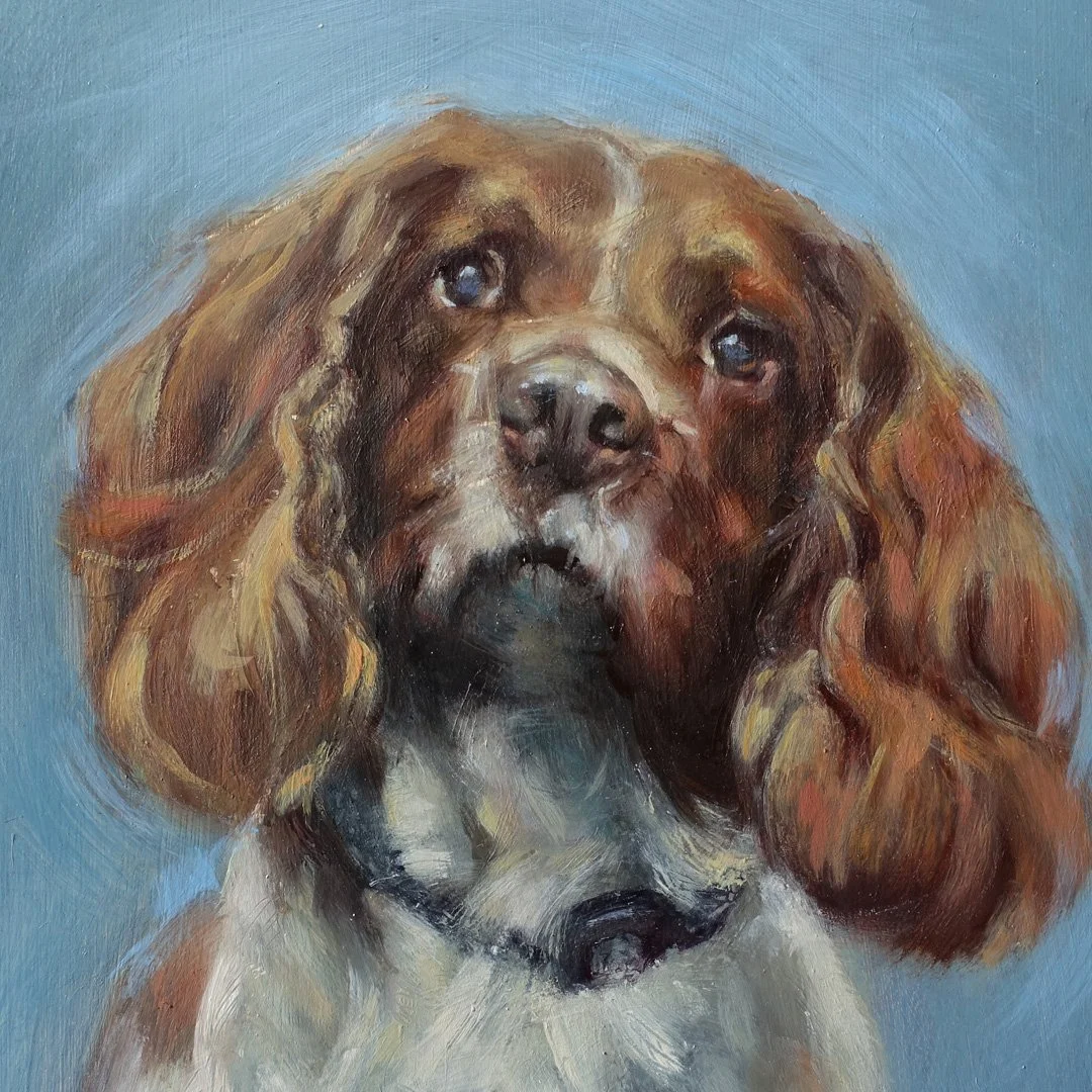Animal Portraits
