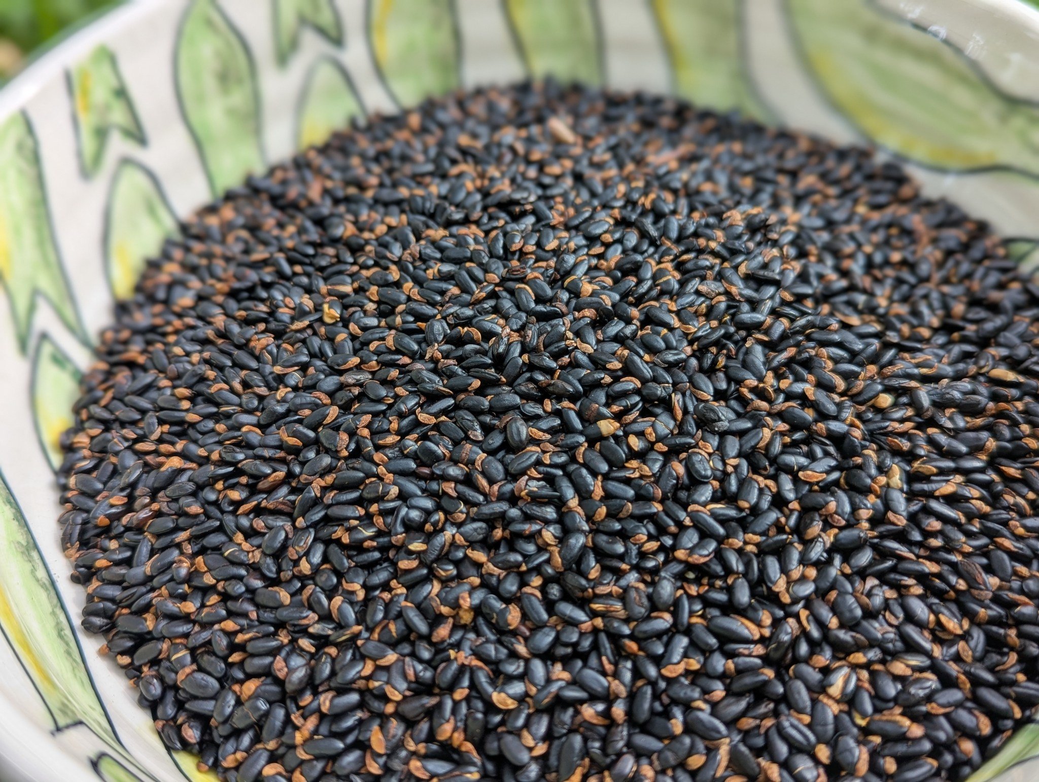 Roasted Whole Wattleseed