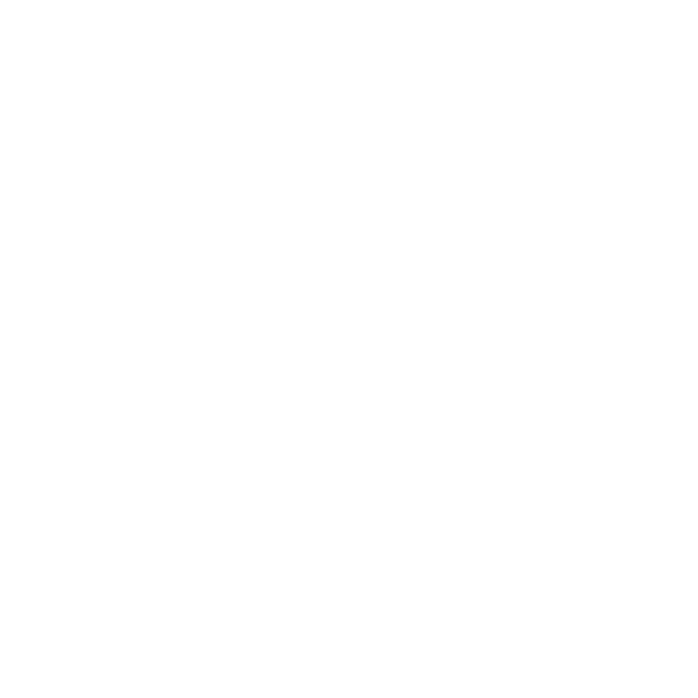 financial literacy icon