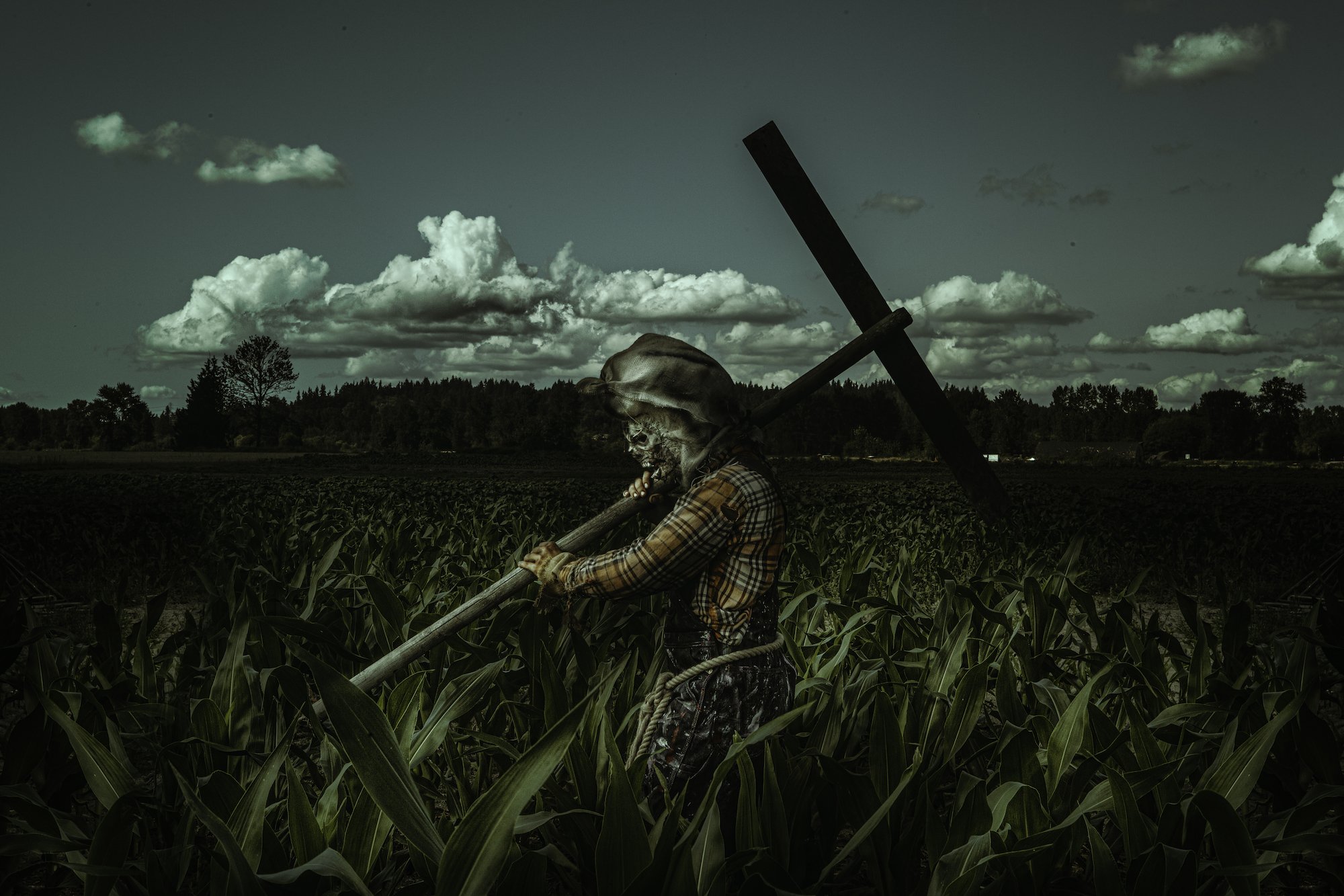 STALKER FARMS