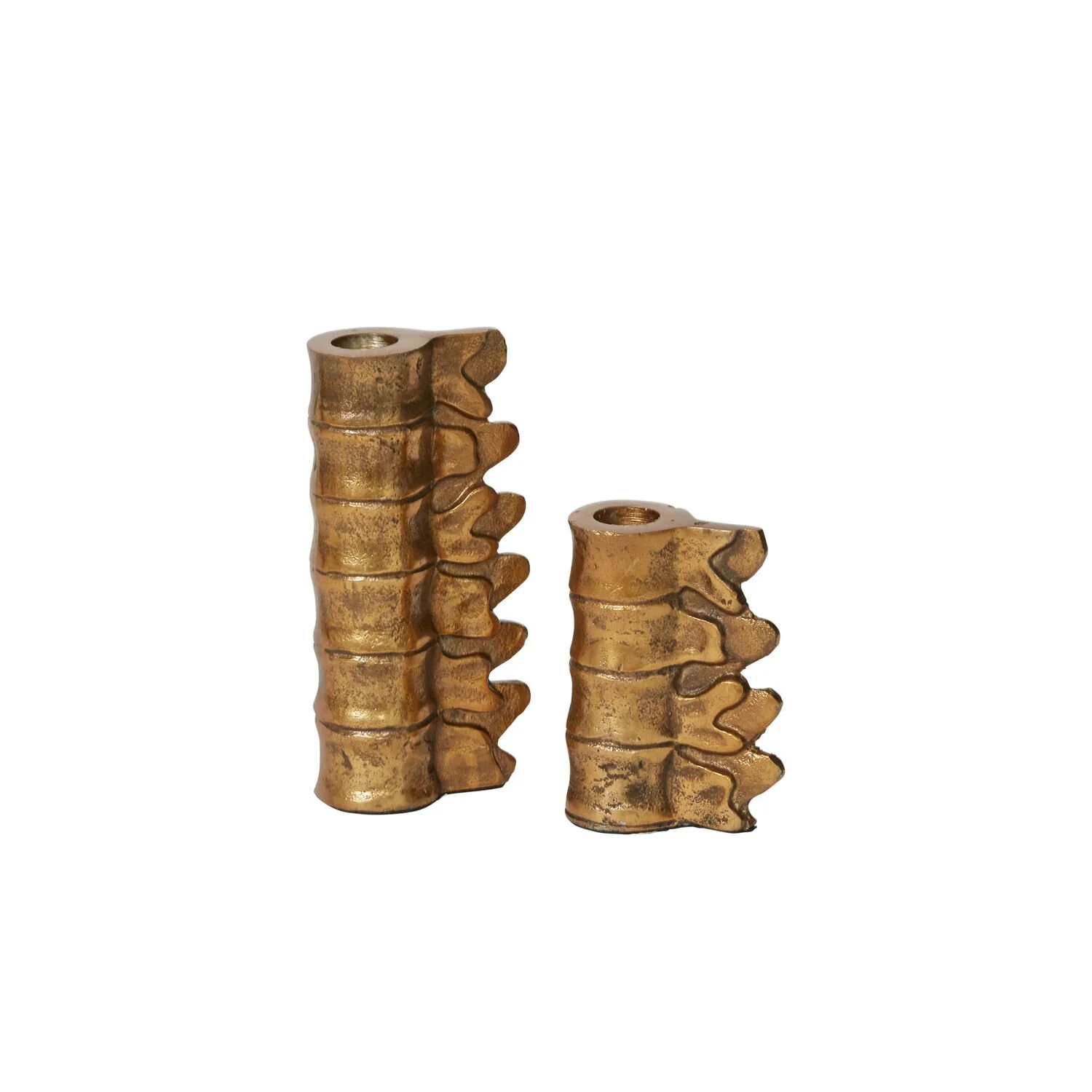 lumbar.jpg
