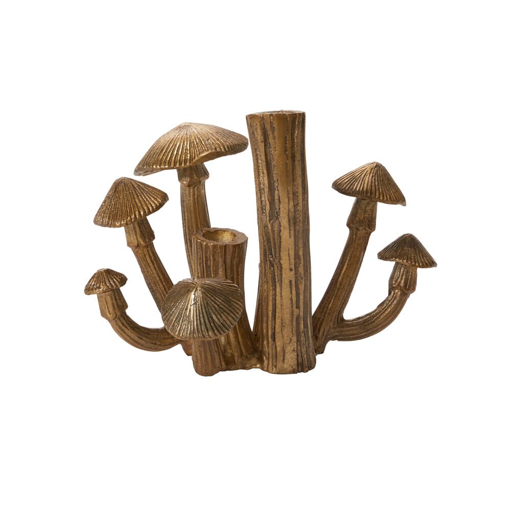 clusteredmushrooms.jpg