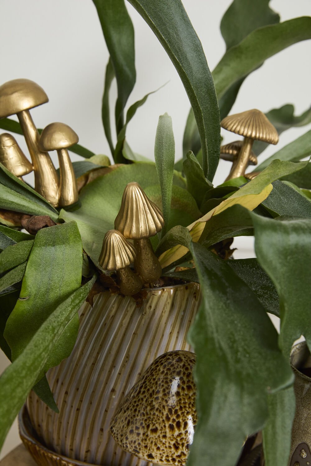 troopmushroomplantsticks_2_.jpg