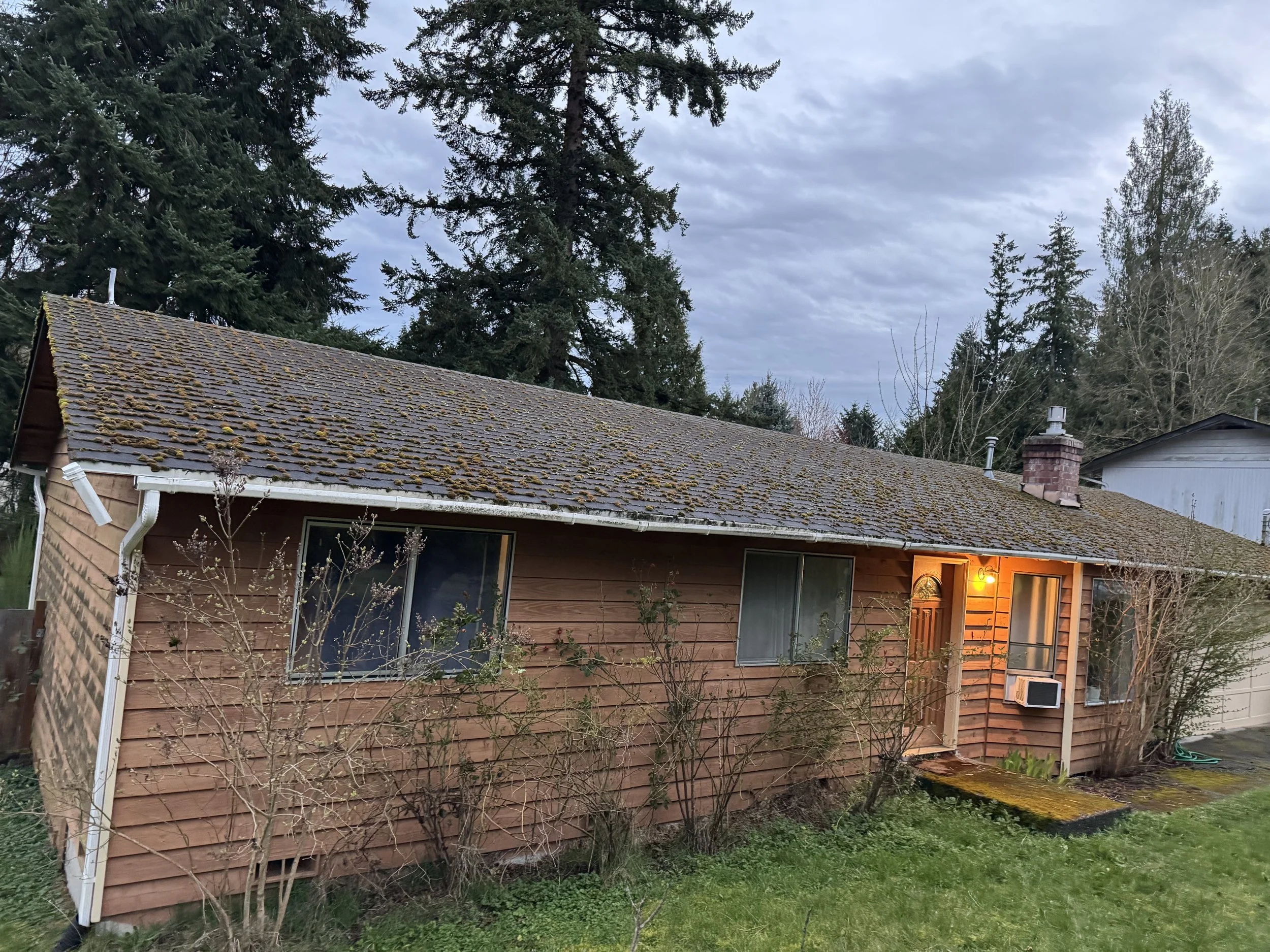 A house with brown wooden siding and a moss-covered shingled roof, surrounded by leafless shrubs and trees, with tall evergreen trees in the background, under a cloudy sky.