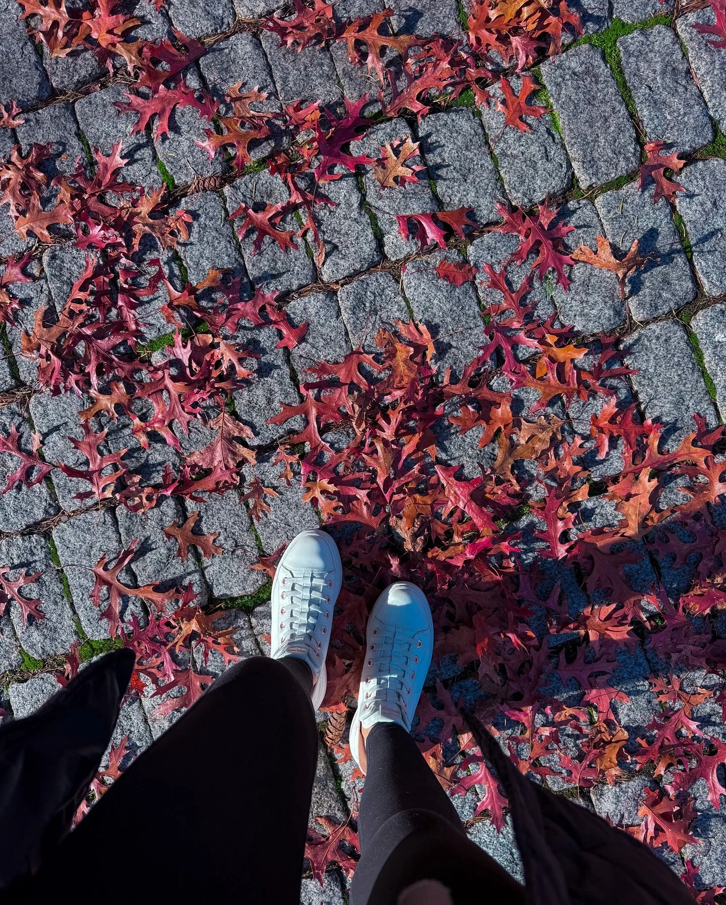 🍂 Like the seasons, life changes &mdash; sometimes faster than we&rsquo;re ready for.
⠀⠀⠀⠀⠀⠀⠀⠀⠀
Right now, my dad is in the hospital and will soon be moving into hospice care. This is a hard season, and I need to take a little break from Instagram t