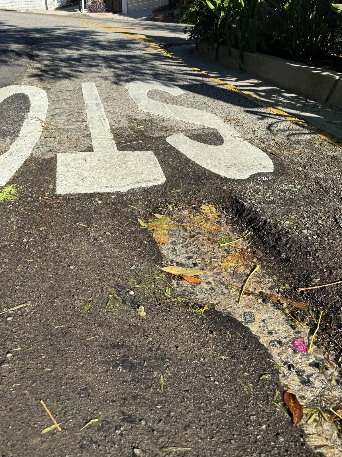 Castilian Street 2.jpeg