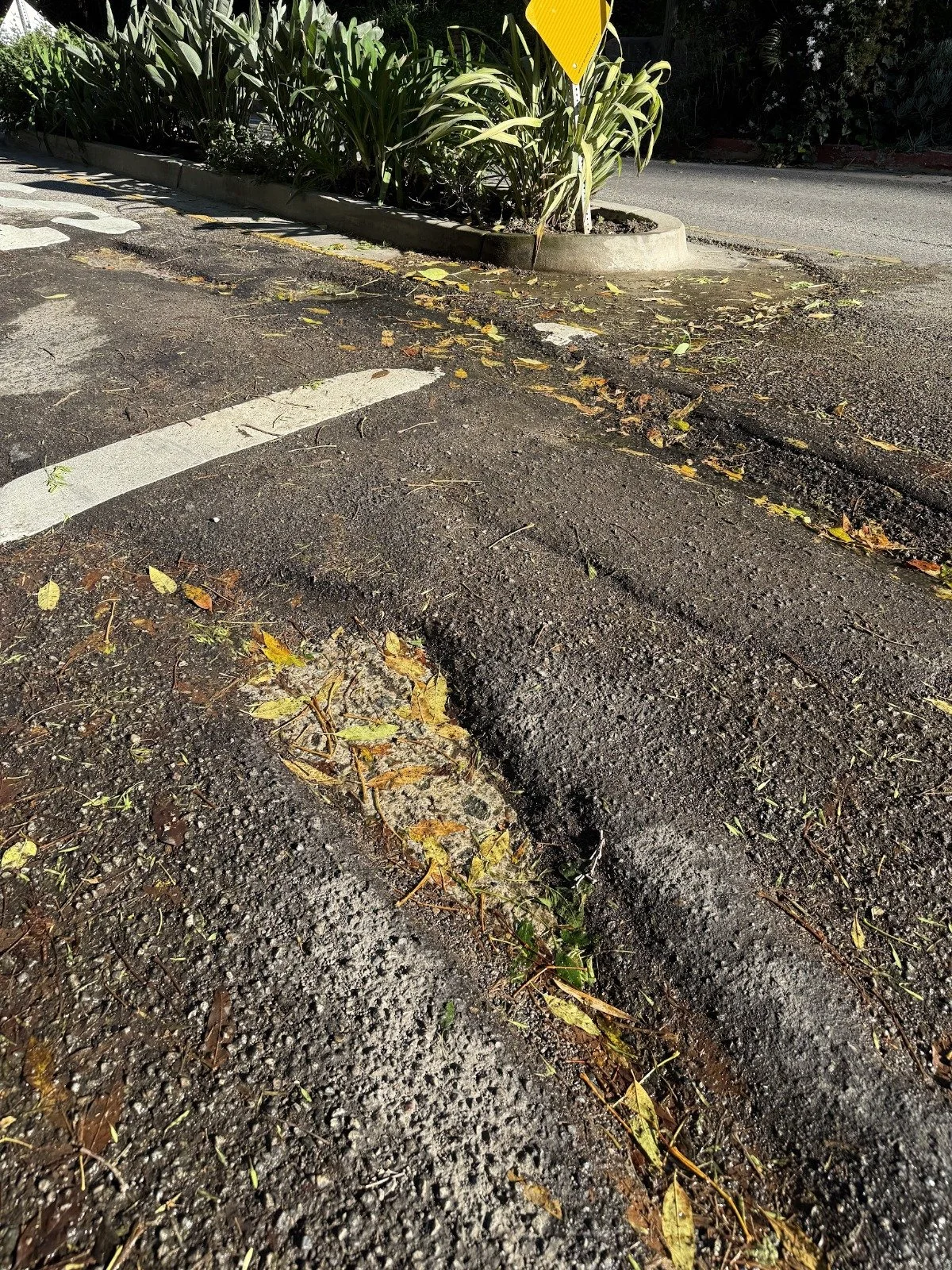 Castilian Street 4.jpeg