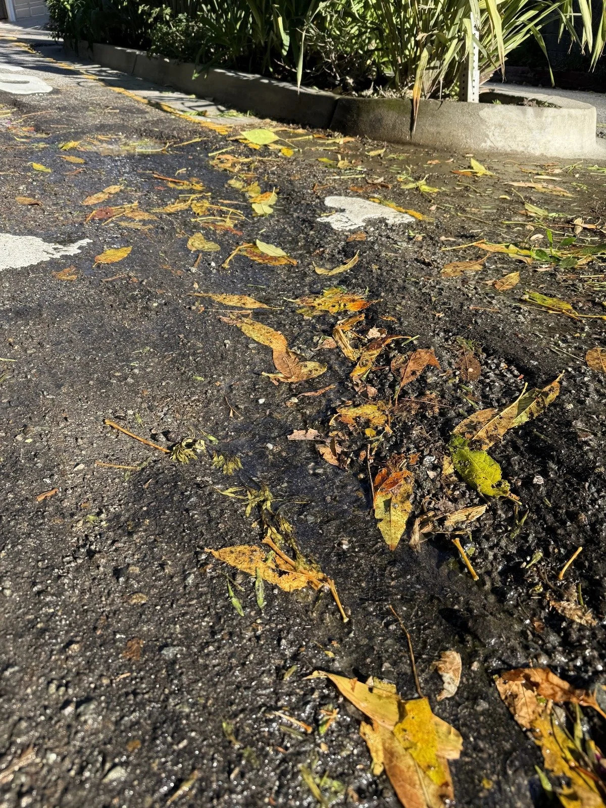 Castilian Street 3.jpeg