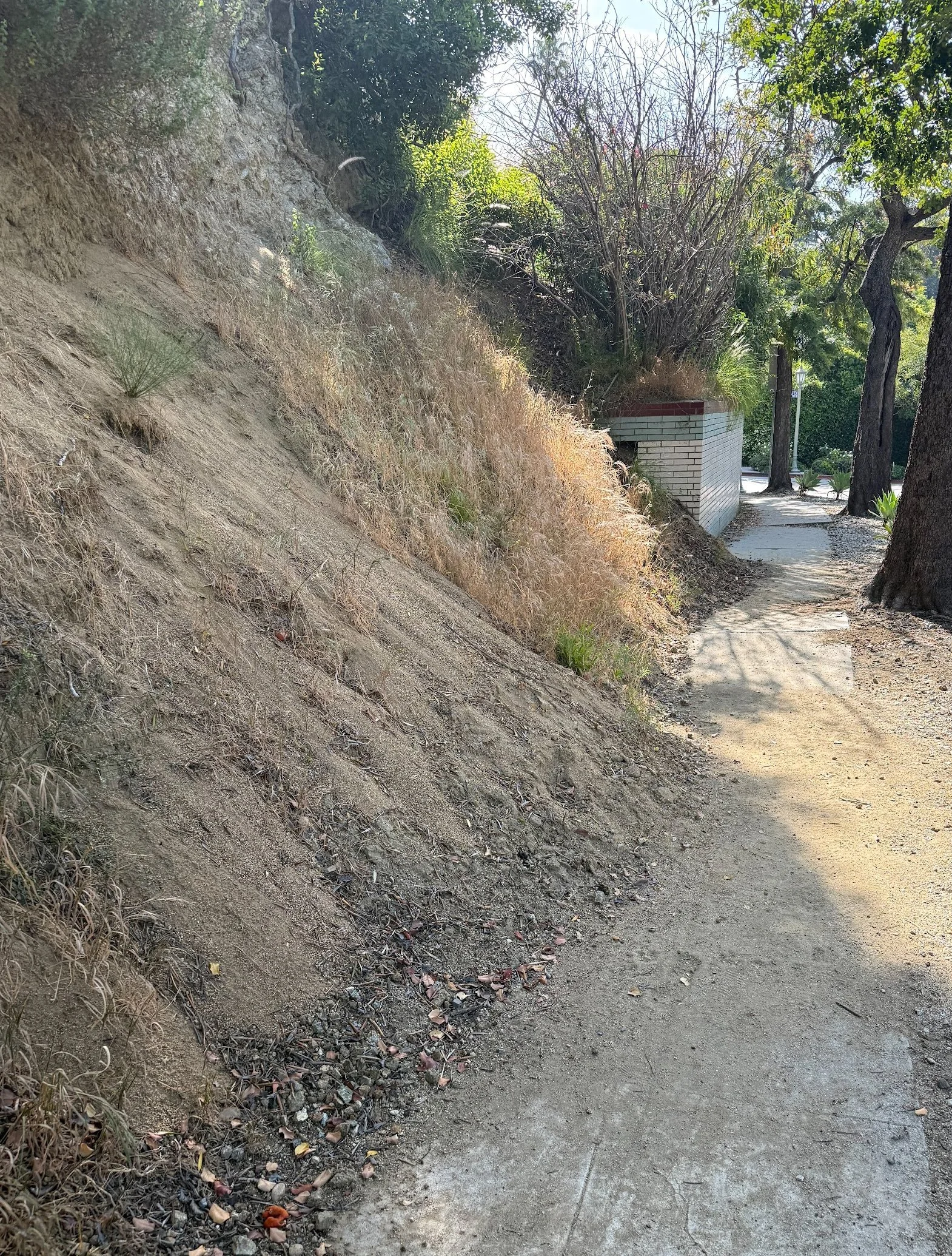 When the Hillside Comes Down: What to Do About Dirt on Our Sidewalks and Streets