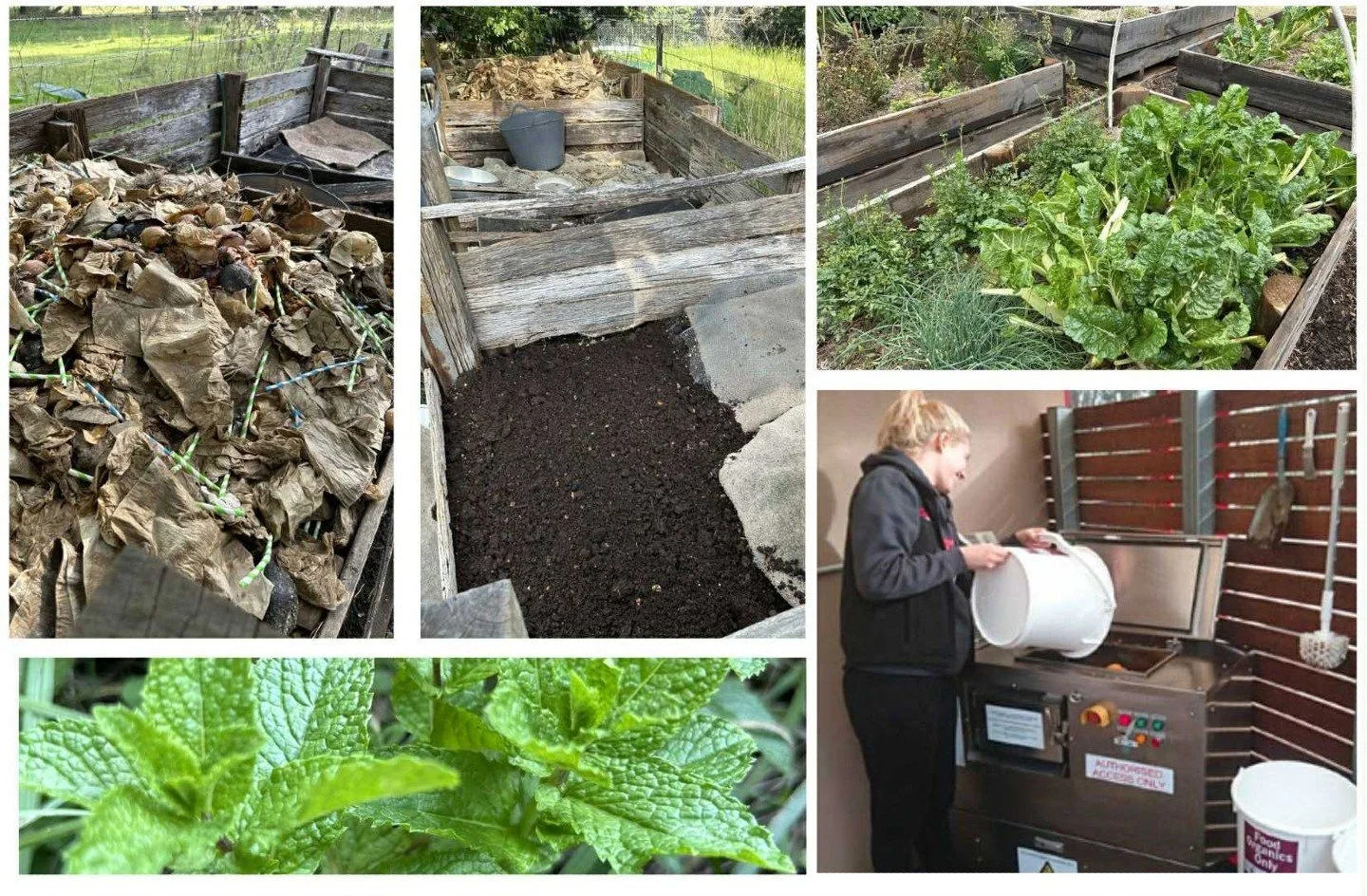 Over 7.6 million tonnes of food is wasted in Australia every year &mdash; and the hospitality industry is responsible for 16% of it.

Add that up, and food waste creates 10% of Australia&rsquo;s greenhouse gas emissions.

If global food waste were a 