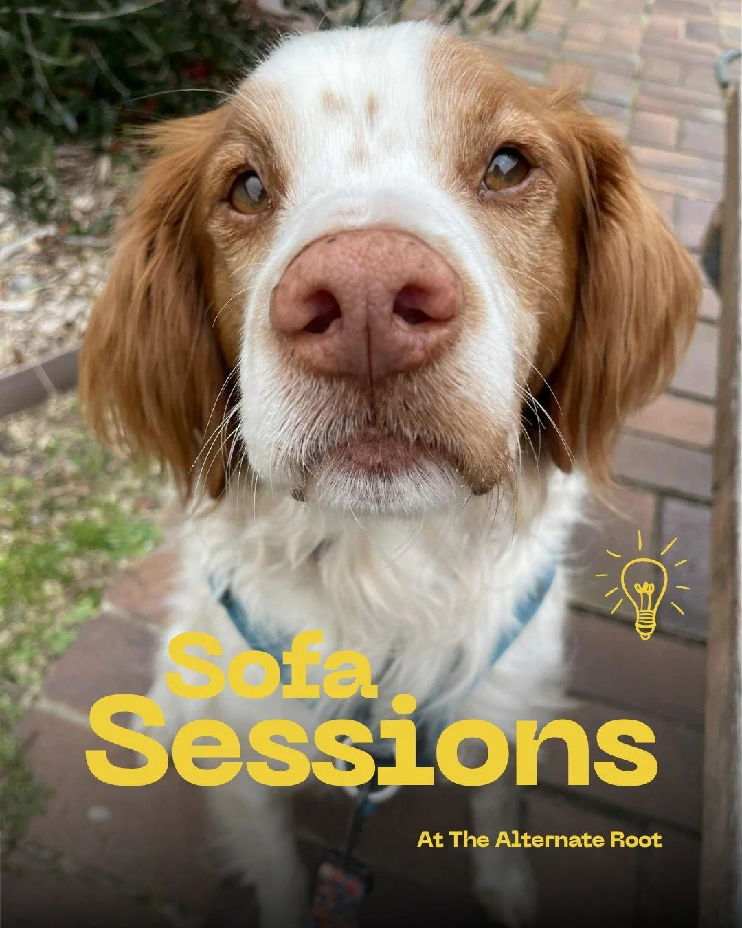 This month&rsquo;s Sofa Session guest isn&rsquo;t your typical speaker&hellip;

He&rsquo;s got four legs, a wagging tail, and a psychology degree by proxy.

🐾 Meet Percy, the co-therapist helping humans reconnect since 2018.
His human, psychologist 