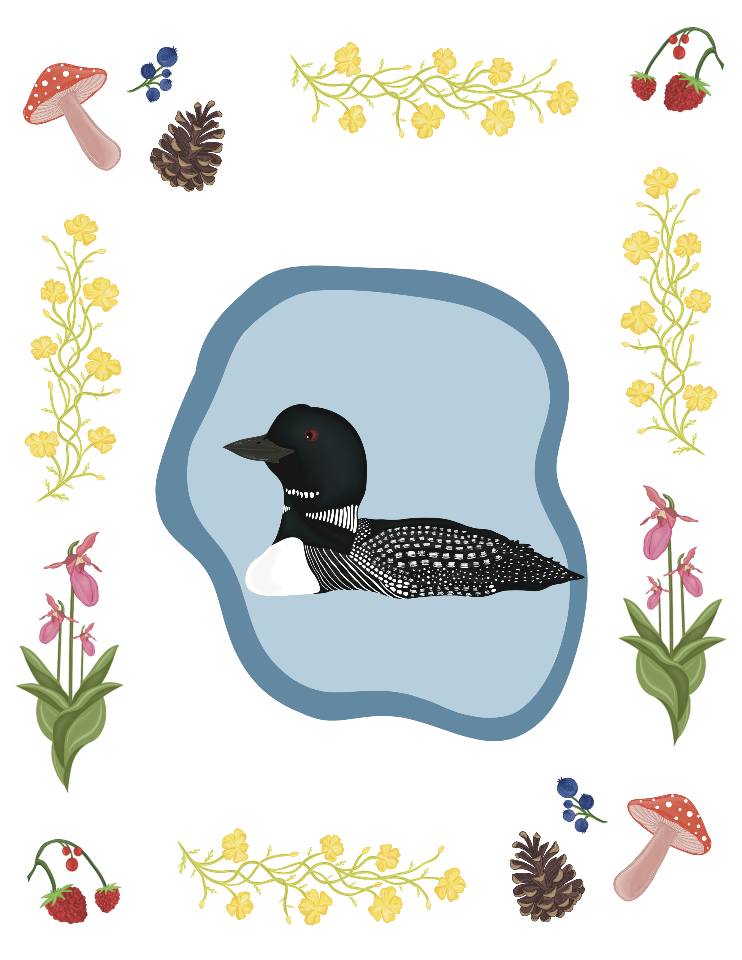 Minnesota loon drawing in blue fresh water surrounded by forest items such as mushrooms, blueberries, flowers, pinecones, raspberries, and lady slippers.