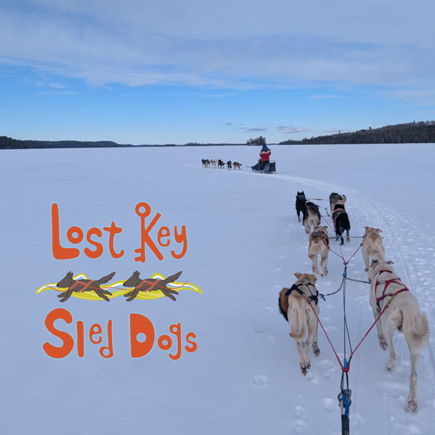 Lost Key Sled Dogs