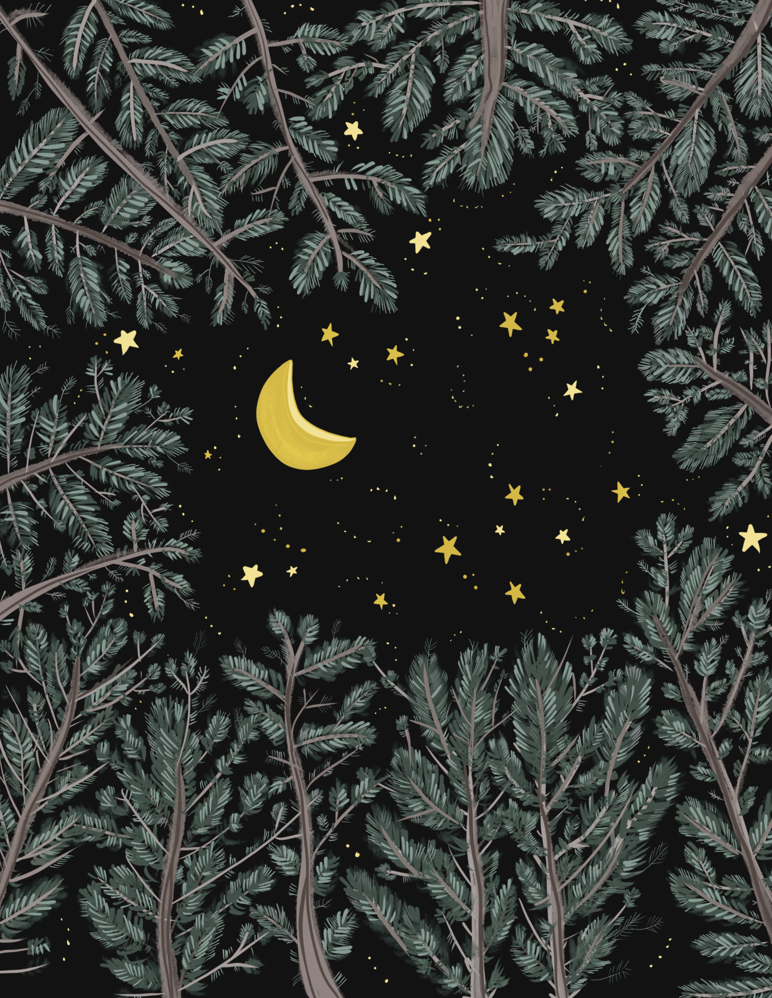 Boundary Waters Canoe Area Wilderness camping drawing Milky Way.