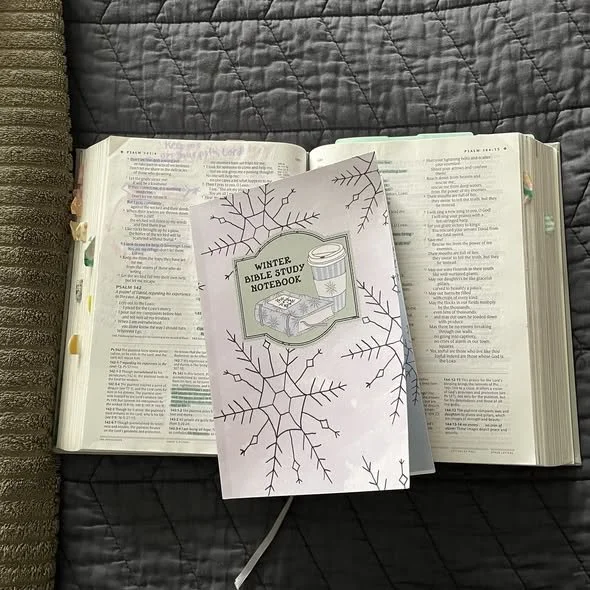 12 Things to Do in the Winter