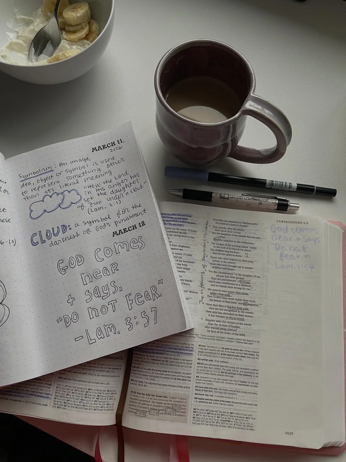 It&rsquo;s been SO dark, stormy, rainy, and windy. My sweet husband reminded me last night of when Jesus was in the boat with His disciples and He was asleep. The storm raged around Him. His disciples were afraid. He was sleeping peacefully. I read L