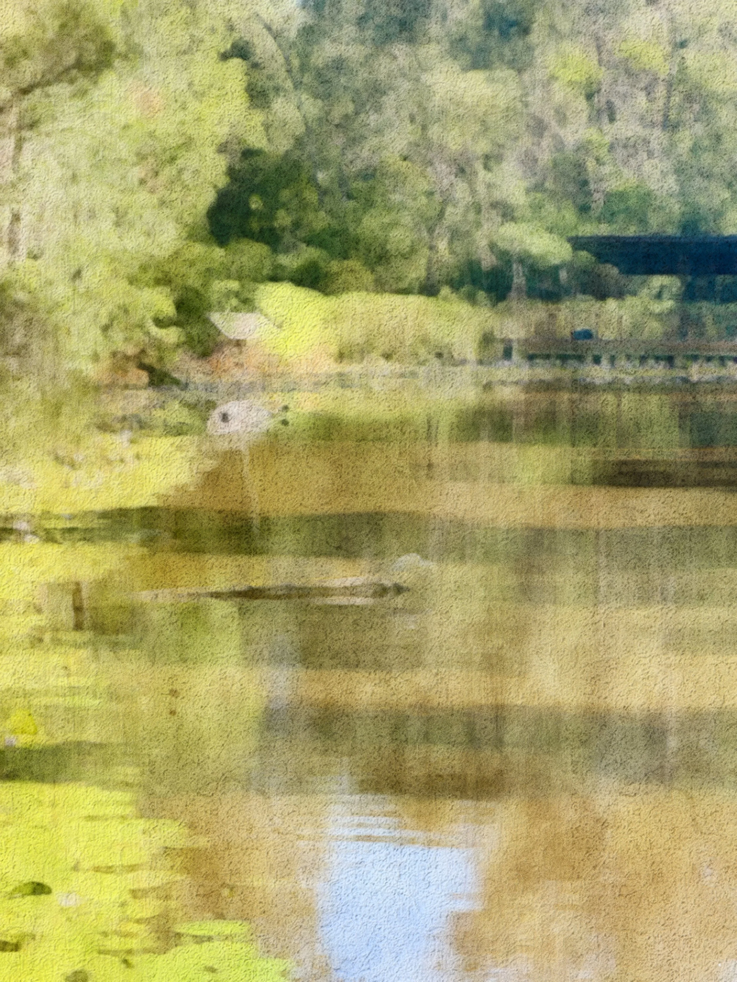 96D59F49-BAAE-4593-AA5D-0A8AF2F19FDB-8356-000003D427BF47AD.jpeg